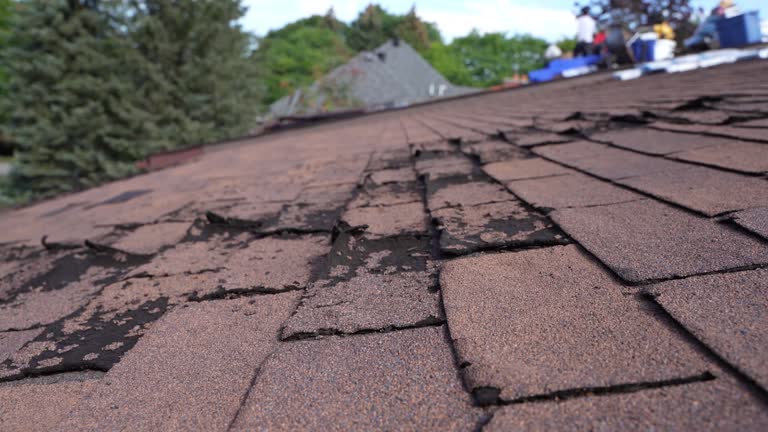 Best Roofing for New Construction  in Pine Grove, CA