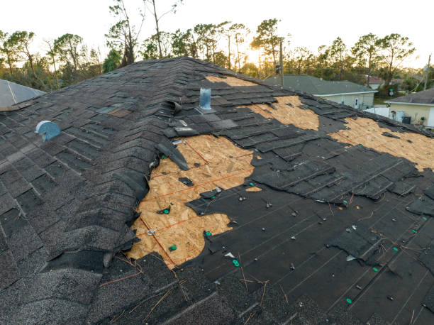 Best Rubber Roofing (EPDM, TPO)  in Pine Grove, CA