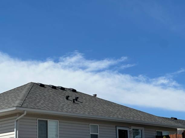 Best Green or Eco-Friendly Roofing Solutions  in Pine Grove, CA